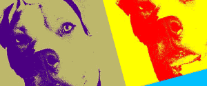 Andy Warhol Pop Art Porträt