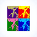 Andy Warhol Pop-Art-Effekt
